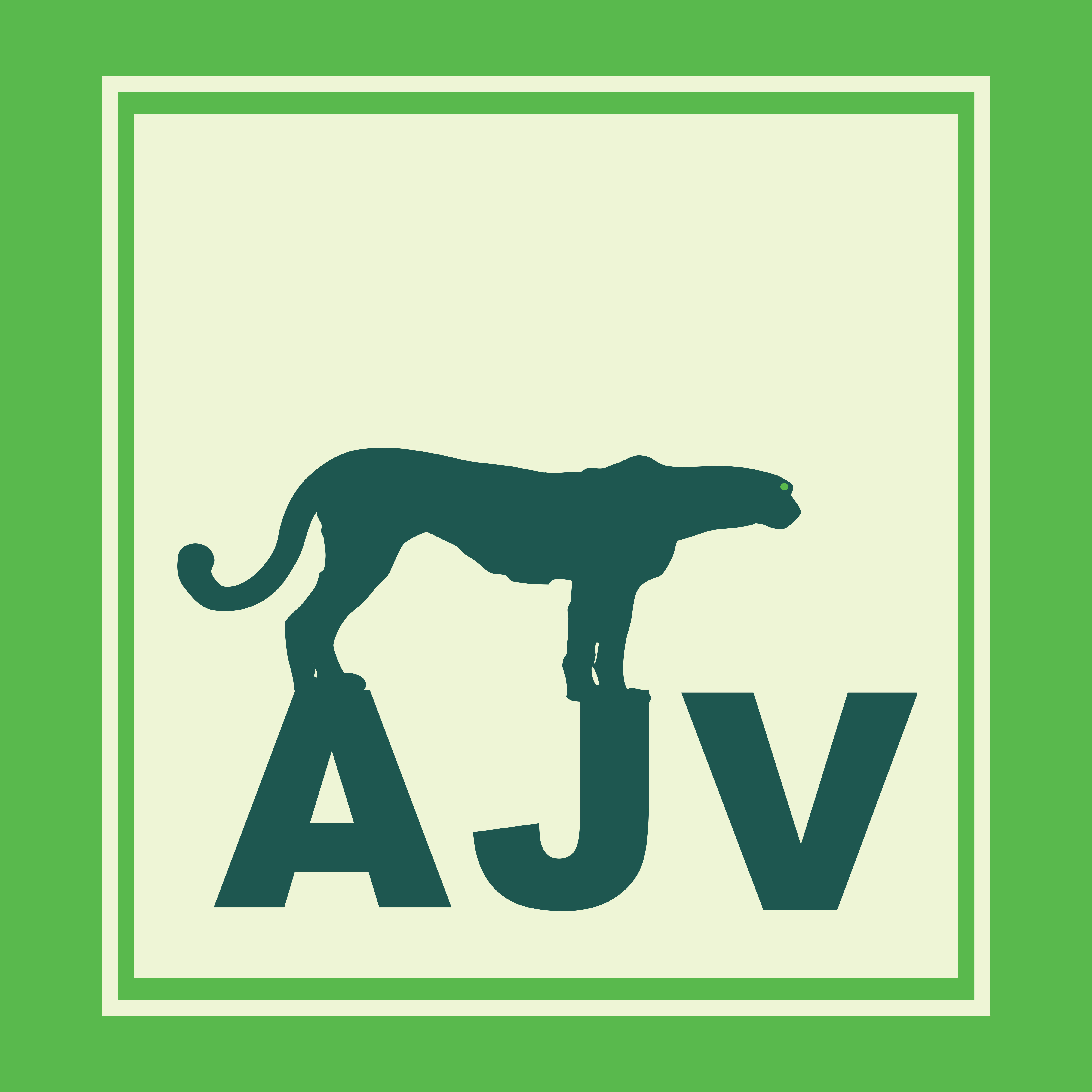 محصولات سقف کاذب آلومینیومی ای جی وی